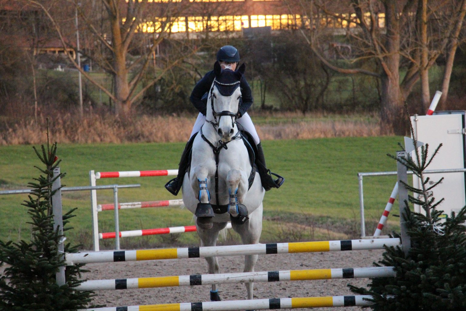 Neujahrsspringen 2023 Reitverein Herrenberg